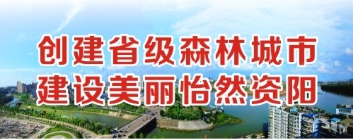 爆操美女大胸白浆创建省级森林城市 建设美丽怡然资阳